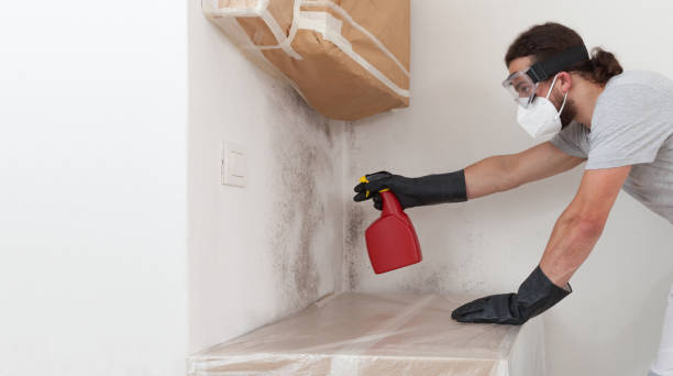 Professional Mold Remediation technician working in Dania, FL
